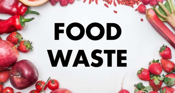 The one with food waste: How much do we eat and how we can prevent destroying our natural resources